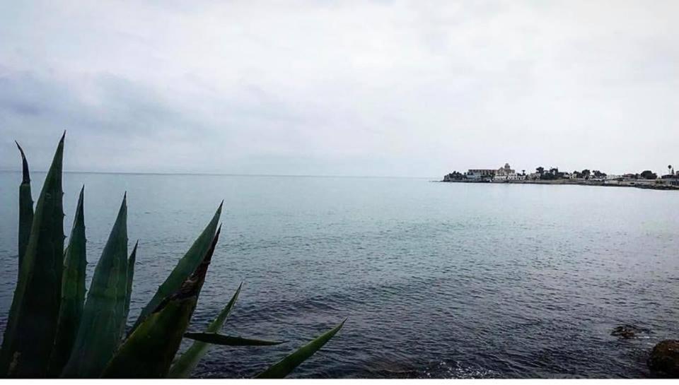 تراني B&B Millevoglie المظهر الخارجي الصورة